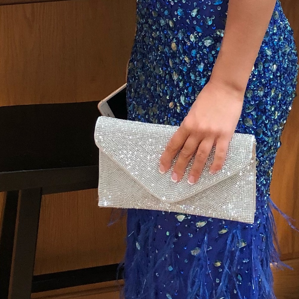 A fancy purse, great condition!